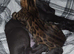 Male
