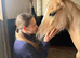 Palomino prettiest pony 9 yrs old 2nd pony winner!