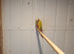 Pair conures fenale..greencheek.nale suncheek