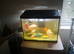 2 fish tanks for sale