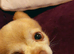 Ralph is looking for a female friend.