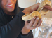 Beautiful ball python for sale