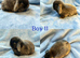 Baby Mini Lops (Ready 8/08)