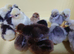 VACCINATED  CHICKS hatched fortnightly