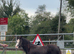 Yearling filly