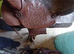 Leather brown Western saddle
