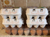Fertile eggs