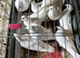 White dove for sale