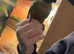 Hand-reared Green Cheeked Conure