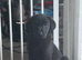 3 month female