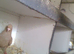 for sale 4 yellow afgian pigeons