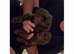 F1 cockopoo Puppys