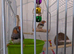 Seeling all my finches