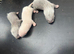 Ferrets be ready in 4 week