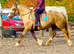 Bombproof happy hacker