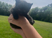 Kittens ready now