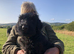 Russian Black Terrier Pups for Sale