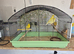 3 canary’s including cage