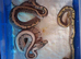 5x royal python hatchlings
