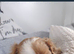 Cavalier king Charles