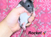 Beautiful mixed gender baby rats