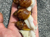 Archachatina Rhodostoma albino