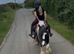 14.2 bombproof ride and drive mare