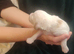 Miniature Australian Labradoodle Puppies.