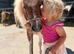 Sweet little coloured Shetland.