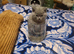 British blue short hair kittens