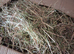 Large Box/Bale of Meadow Hay