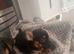Chorkie