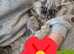 Female persian