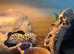 Two female leopard Geckos with 3ft viv