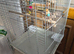 Bird cage
