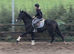 Tall, dark and handsome meet ‘Gavin’