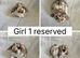 6 beautiful baby mini lops ready to reserve
