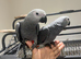Baby Handreared Tame Male African Grey Parrot