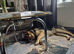 4-Year-Old German Shepherd Rex Available for Rehoming