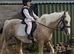 Stunning Palomino Welsh Section D Gelding – 3 Years Old – 15.1hh
