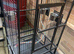 Large Flight cage