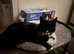 black white one year old boy regi