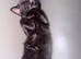 Black kitten