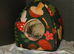 Male baby hedgehog with Vivarium