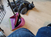 Russian blue x kittens