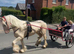 Most Genuine Ride & Drive In The UK