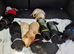 9 stunning Labrador puppies