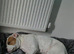 American bulldog X