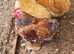 Pekin cockerels