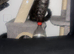 Maincoon&rsquo;s female